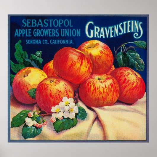 Poster Sebastopol Gravensteins Apple LabelSonoma, CA (Devant)