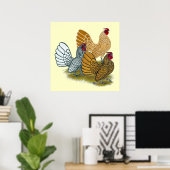 Poster Sebright Rooster Assortment (Bureau à domicile)