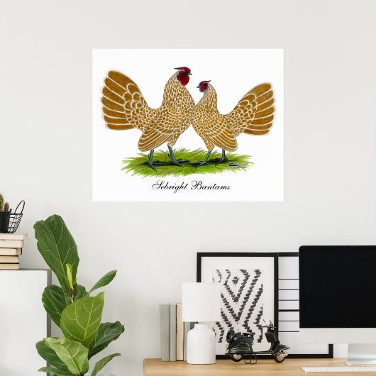 Poster Sebrights Buff Laced (Bureau à domicile)