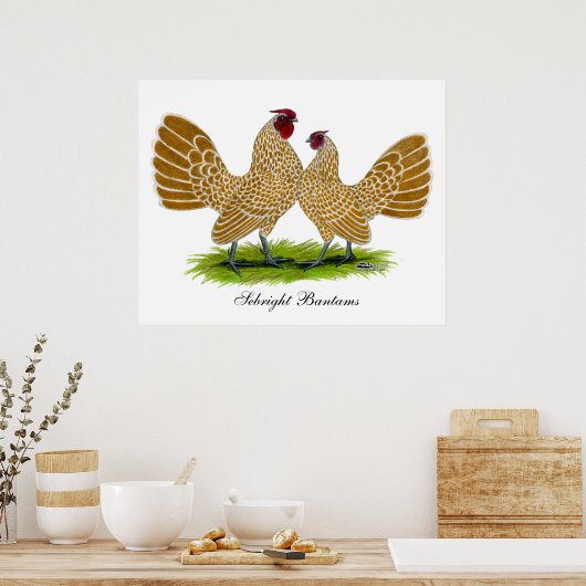 Poster Sebrights Buff Laced (Cuisine)