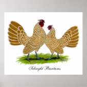 Poster Sebrights Buff Laced (Devant)