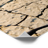 Poster Séché (Coin)