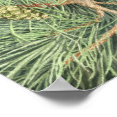 Poster Sèche de pin (Coin)