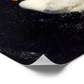 Poster Secouage de canard (Coin)