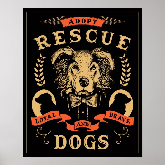 Poster Secourir l'affiche Amanda (Devant)