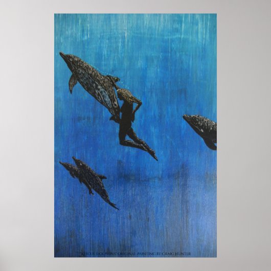 Poster Secourir le dauphin (Devant)