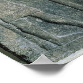 Poster Secours décrivant la chasse aux oiseaux dans (Coin)