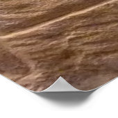 Poster Secours égyptien (Coin)