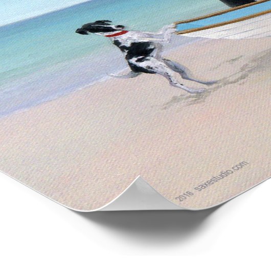 Poster Secourt surf (Coin)