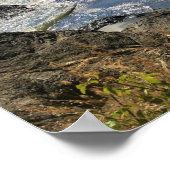 Poster Secret Beach, Samuel H. Boardman, Oregon (Coin)