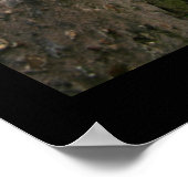 Poster Secret Place (Coin)