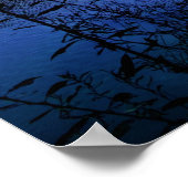 Poster Secrets à Sunset Lake (Coin)