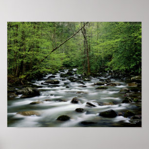 Poster Secteur de région de Greenbrier, Great Smoky