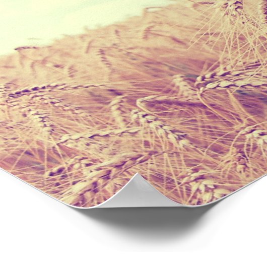 Poster Secteur du blé (Coin)