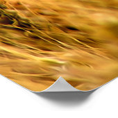 Poster Secteur du blé (Coin)