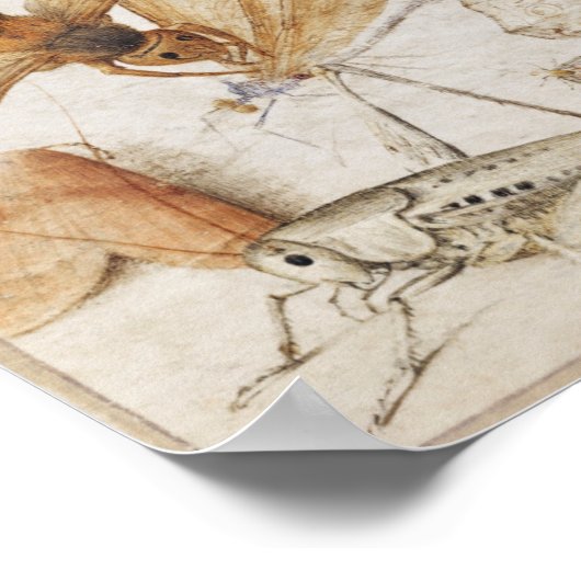 Poster sectie illustratie (Hoek)