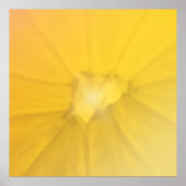 Poster Section citron (Devant)