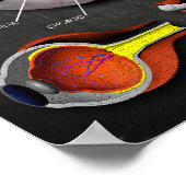 Poster Section croisée 3D de l'oeil humain + Légende (Coin)