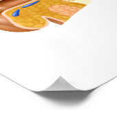 Poster Section De L'Oreille Humaine (Coin)