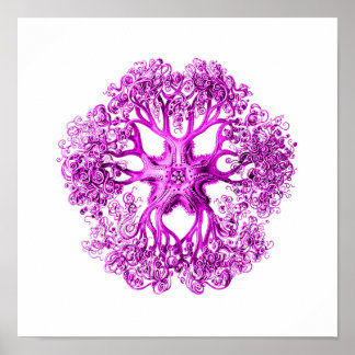 Poster Section Tentacle en rose