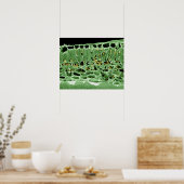 Poster Section transversale de la feuille (Cuisine)