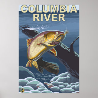 Poster Section transversale de la truite fardée