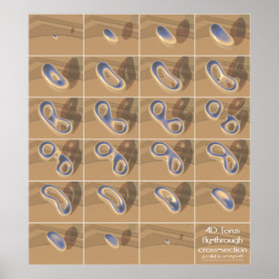 Poster section transversale du torus 4D