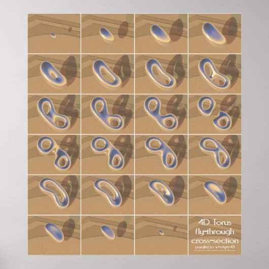 Poster section transversale du torus 4D (Devant)
