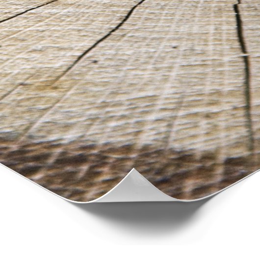 Poster Section transversale du tronc d'arbre (Coin)