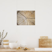 Poster Section transversale du tronc d'arbre (Cuisine)