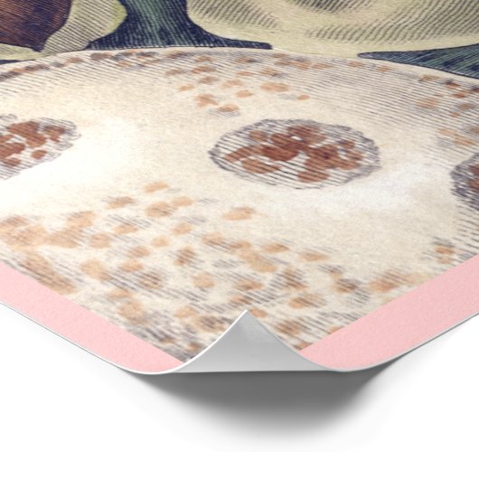 Poster Section transversale d'un Fil de pain - Aliments t (Coin)