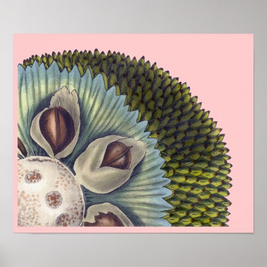 Poster Section transversale d'un Fil de pain - Aliments t (Devant)