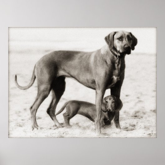 Poster sécurité intérieure (Devant)