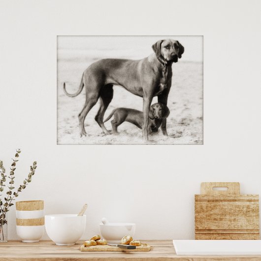 Poster sécurité intérieure (Cuisine)