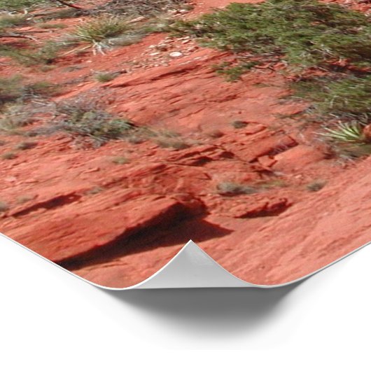 Poster Sedona (Coin)