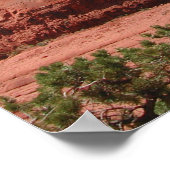 Poster Sedona (Coin)