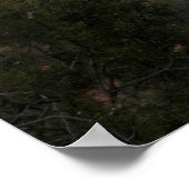 Poster Sedona, Arizona Valley 3069 (Coin)