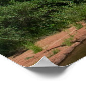 Poster Sedona Nature 4237 (Coin)