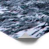 Poster Sedona Snow on Snoopy Rock 2755 (Coin)