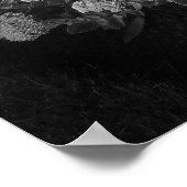 Poster Sedum Automne Joy (B&W) (Coin)