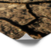 Poster Seedling (Coin)