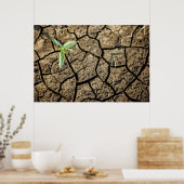 Poster Seedling (Cuisine)