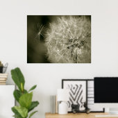 Poster Seedy Dandelion (Bureau à domicile)