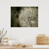 Poster Seedy Dandelion (Cuisine)