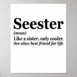 Poster Seester Noun Definition Best Sister Funny Gift<br><div class="desc">sister,  seester,  definition,  famille,  bigsis,  gift,  birthday,  funny,  sarcastic, gift, </div>