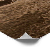 Poster Segesta (Coin)