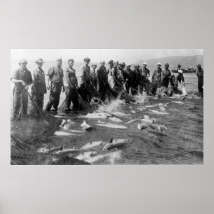 Poster Seiner le saumon dans Astoria, OU photographie