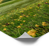 Poster Seiser Alm, Alpes Dolomites, Italie (Coin)