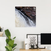 Poster Sel de salmo saumon de l'Atlantique (Bureau à domicile)