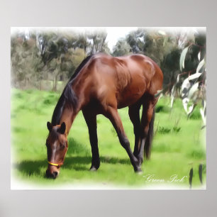 Poster Sélection de vert de cheval de baie